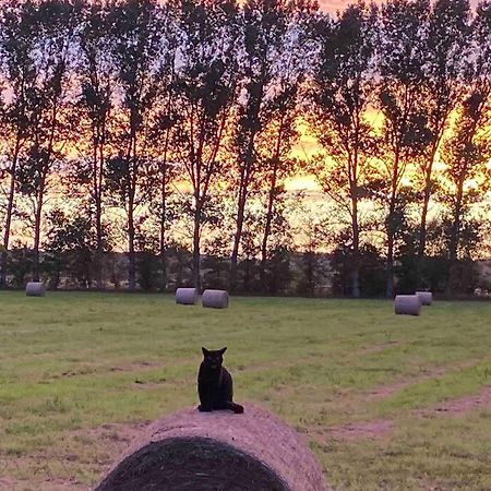 Ferienwohnung Kompass Nahe Der Ostsee Im Gruenen Bad Doberan Extérieur photo