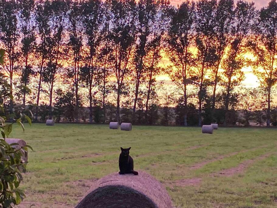 Ferienwohnung Kompass Nahe Der Ostsee Im Gruenen Bad Doberan Extérieur photo