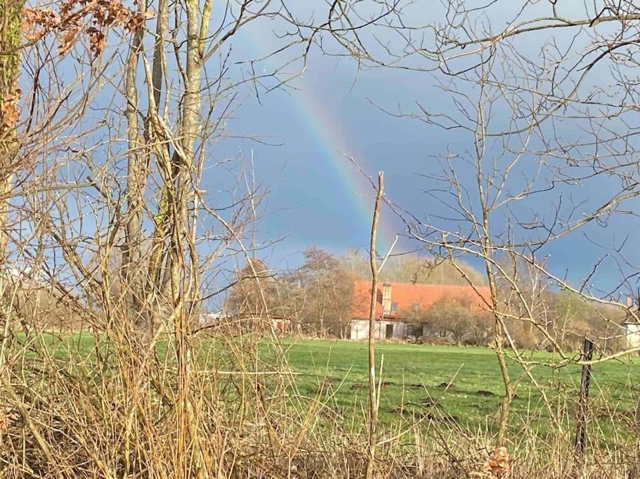 Ferienwohnung Kompass Nahe Der Ostsee Im Gruenen Bad Doberan Extérieur photo